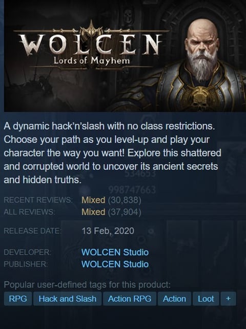 Wolcen mixed reviews