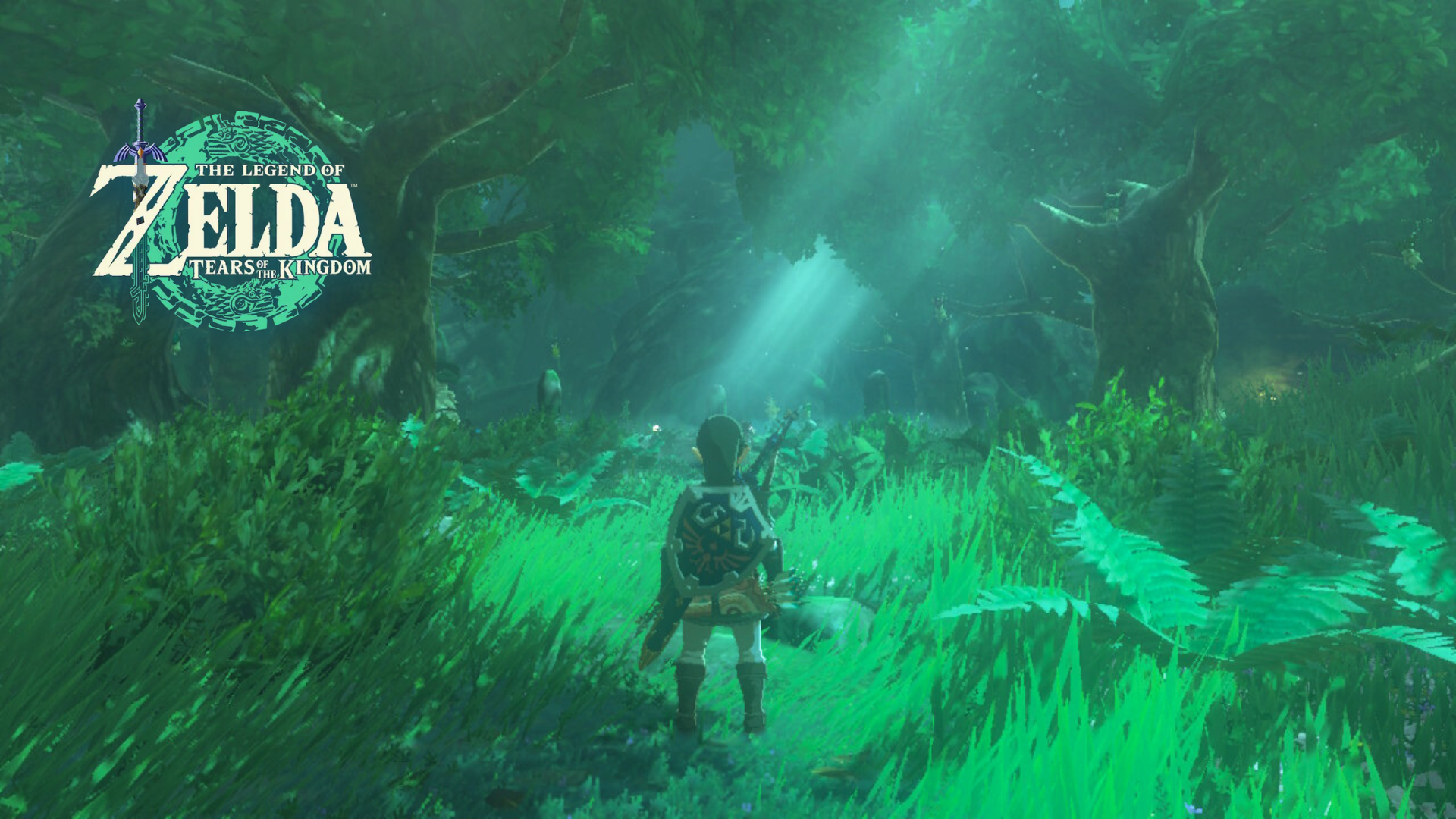 Bosque perdido de Zelda Tears of the Kingdom